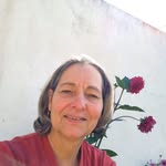 elisabete.dp